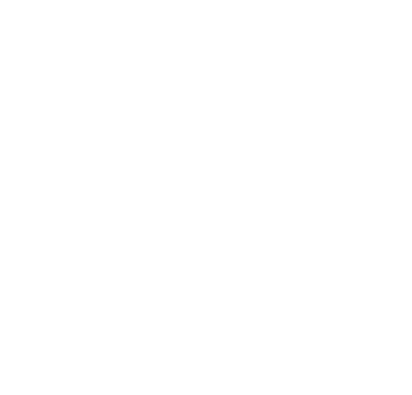 Logo_fmoreira_594x570px